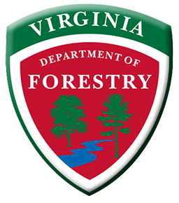Department of Forestry Logo