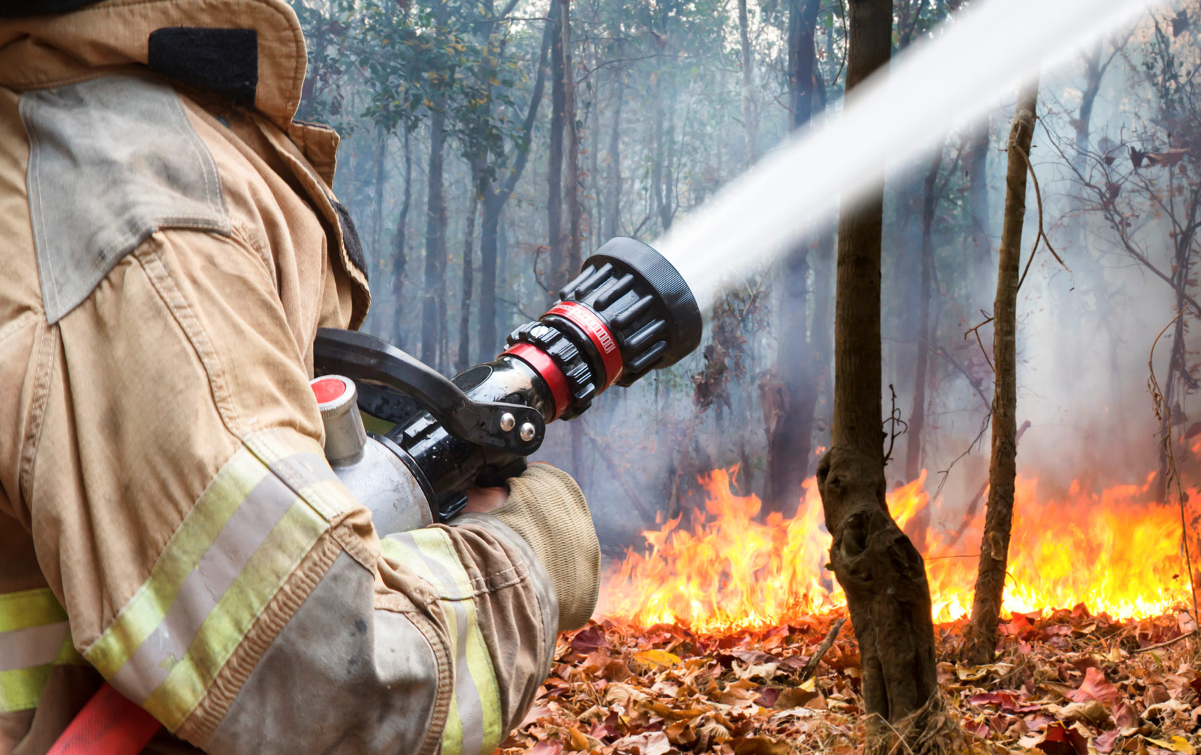 Firefighter putting out forest fire
