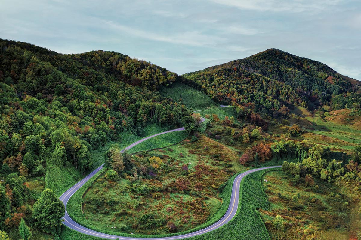 Mountain View Landscape