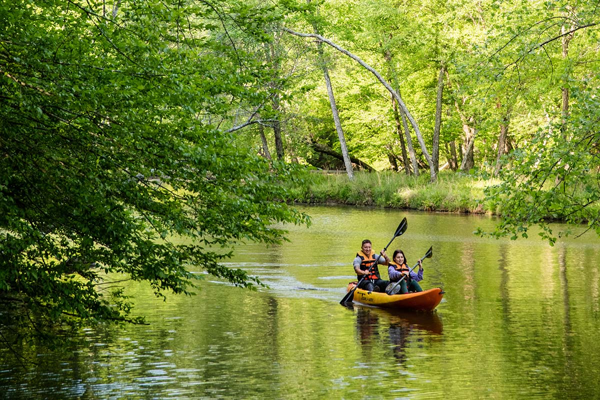 People canoeing on a river