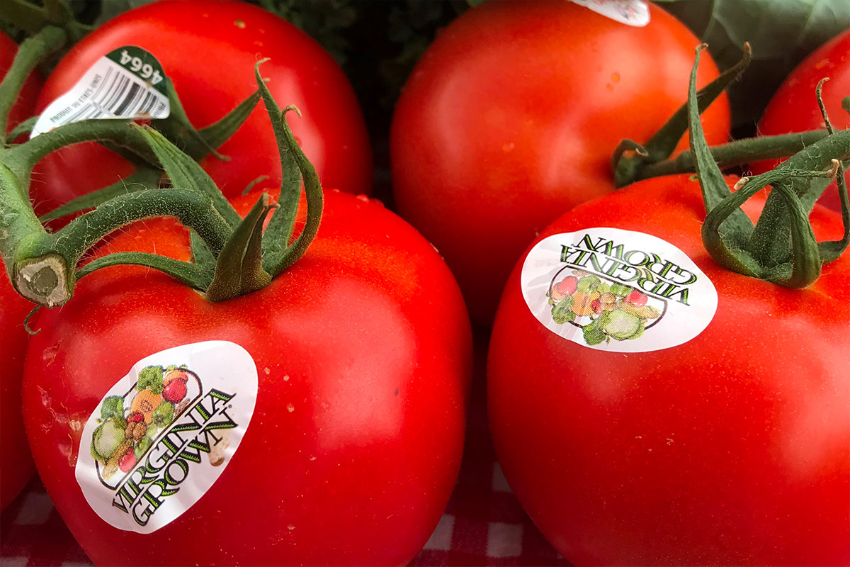 Ripe red tomatoes with Virginia Grown stickers