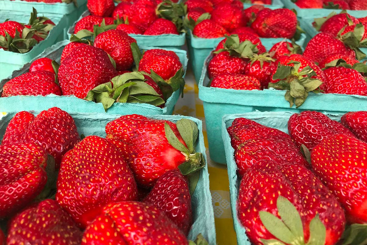 Ripe red strawberries in green pint boxes