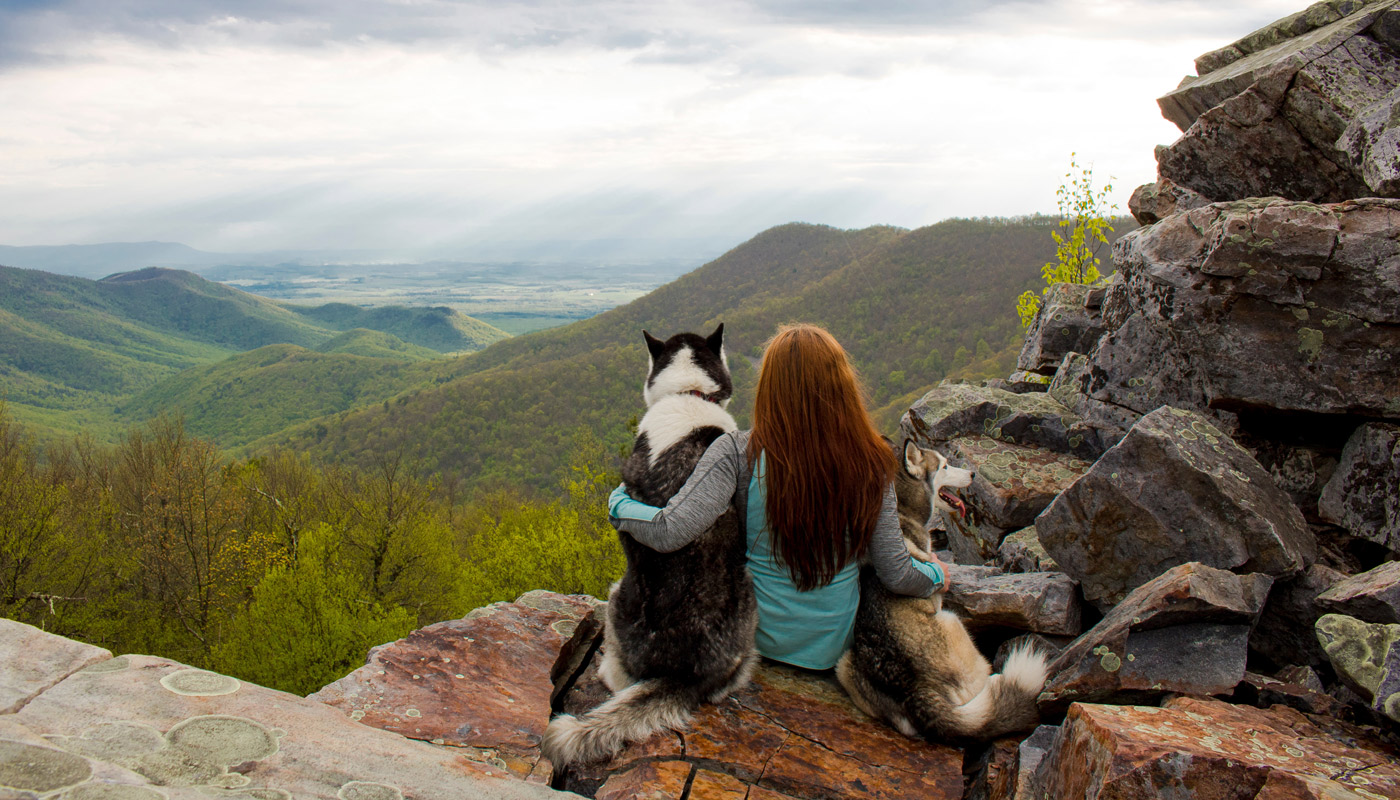 Hiker and two dogs overlooking valley from mountaintop