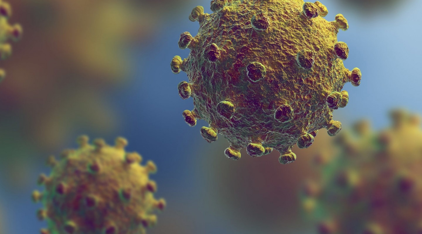 Microscopic view of a virus