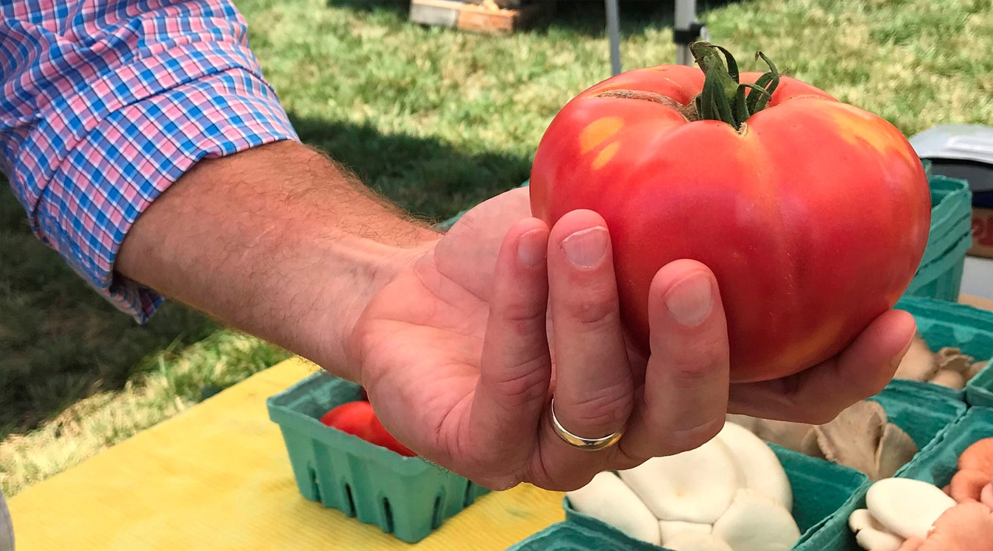 Hand holding tomato at Virginia farmers market
